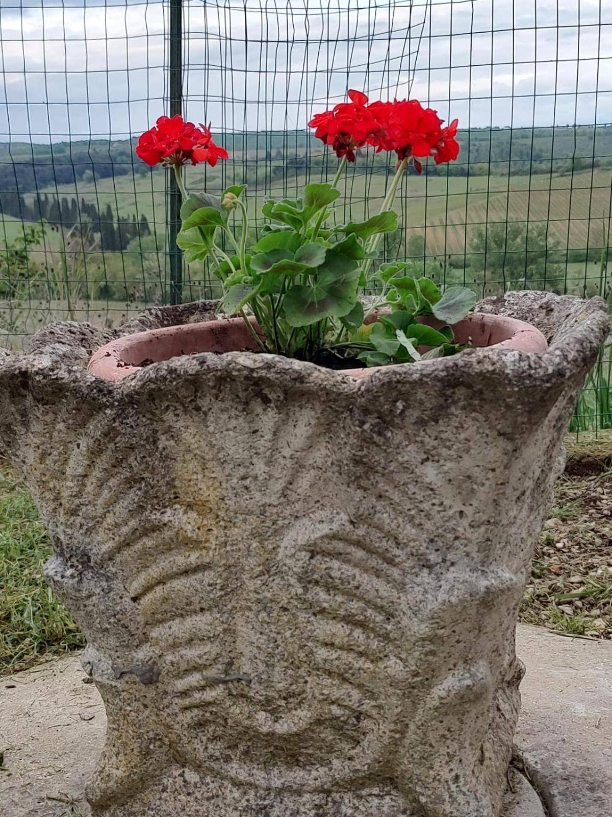 Apartamento Il Giardino Del Chianti Siena Exterior foto