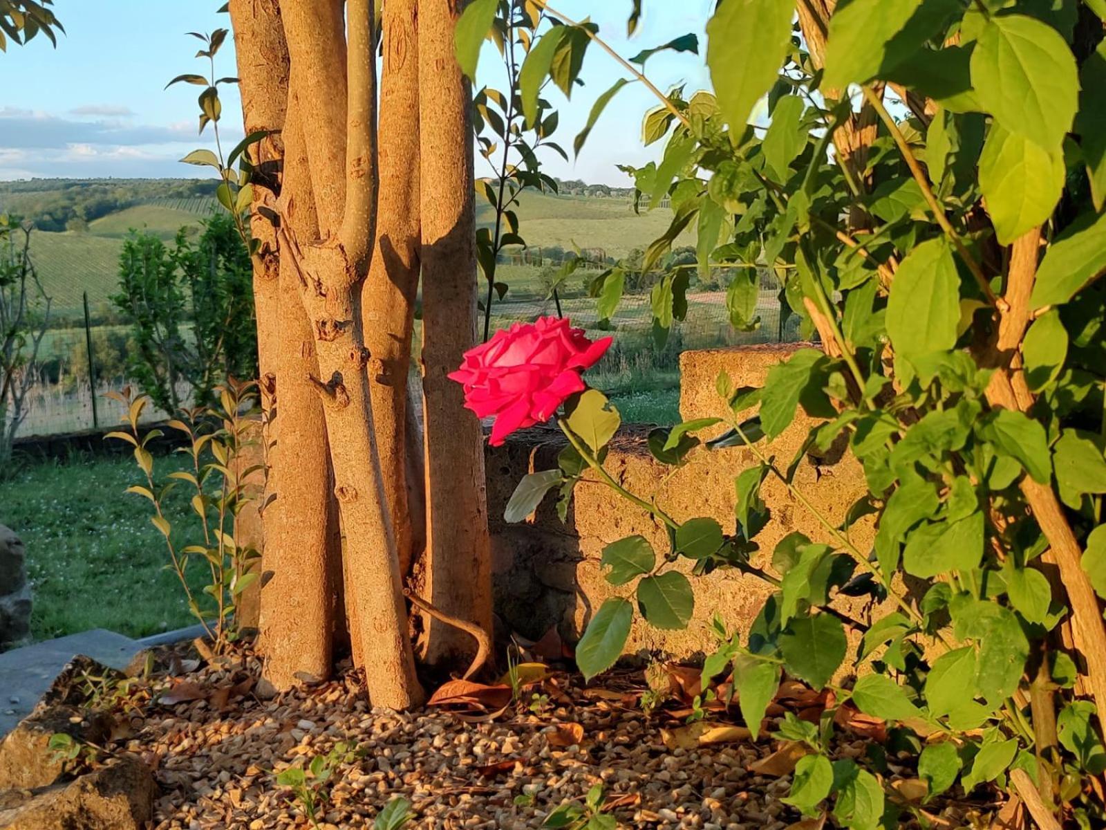 Apartamento Il Giardino Del Chianti Siena Exterior foto