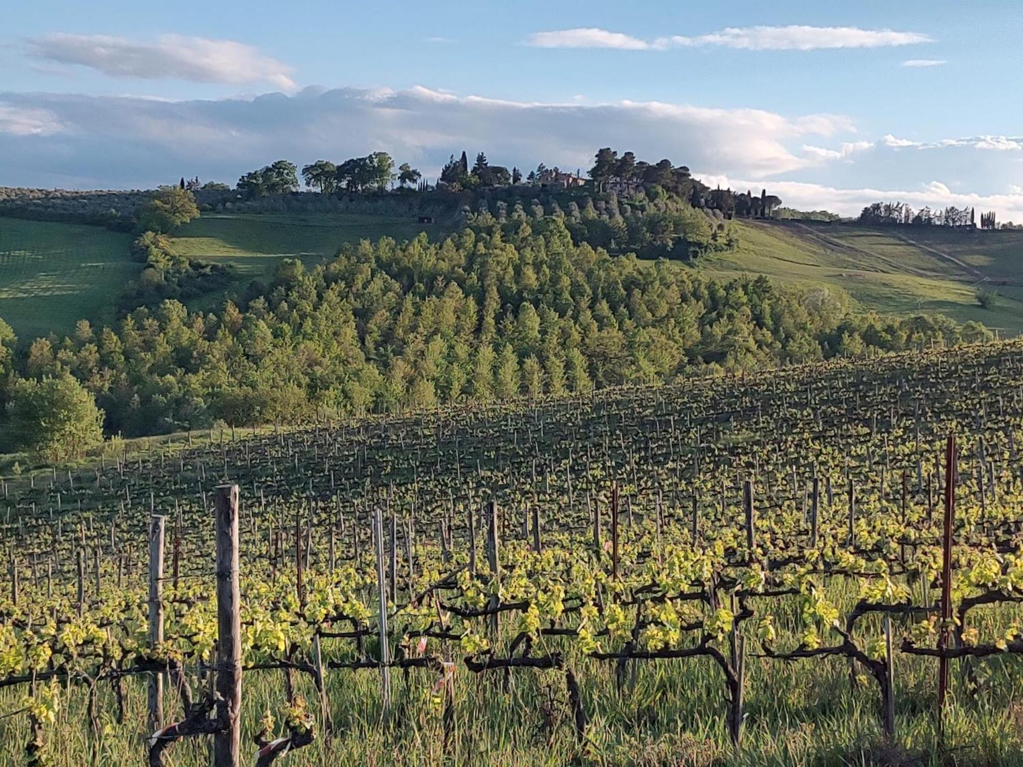 Apartamento Il Giardino Del Chianti Siena Exterior foto